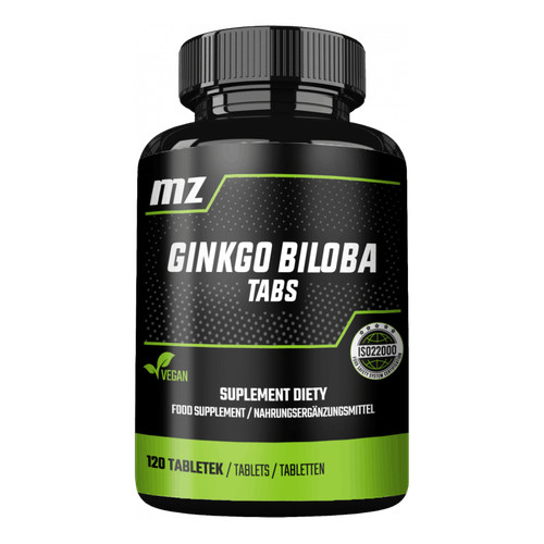 Store ginkgo biloba - ginkgo, 120