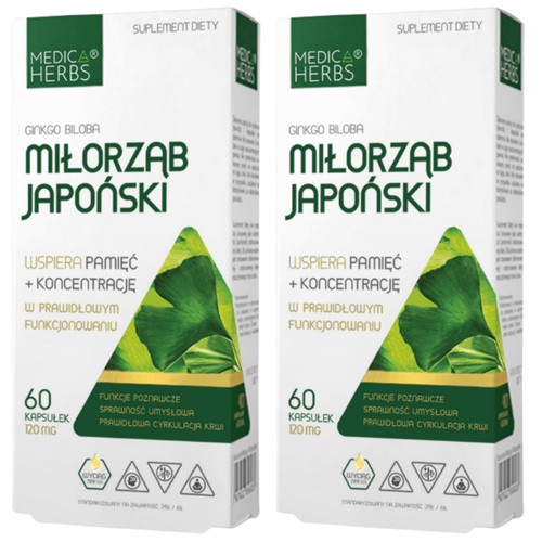 Ginkgo biloba 120mg - 120mg,