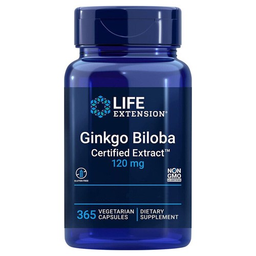 Life extension ginkgo - ginkgo, biloba