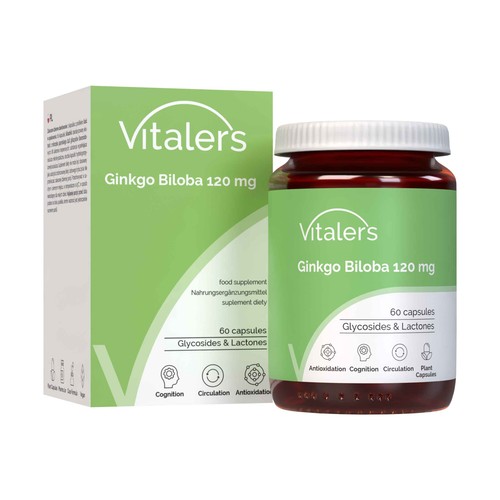 Vitaler ginkgo biloba - ginkgo,